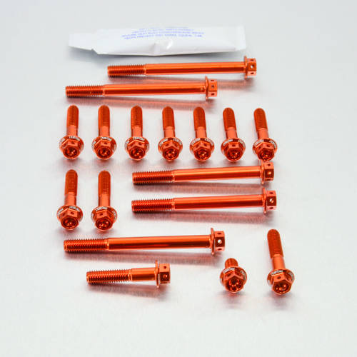 Kit carter motore Ergal - Viti forate corsa - Kit bulloneria - Ergal - PRO-BOLT