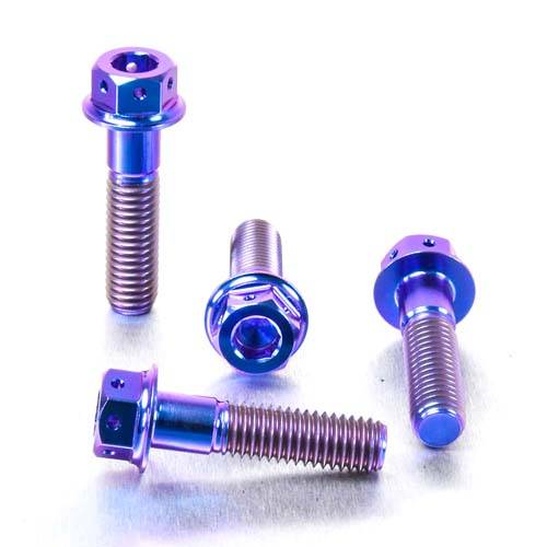 Brake Caliper Bolt Kit - Titanium DualDrive - Bolt kits - Titanium - PRO-BOLT